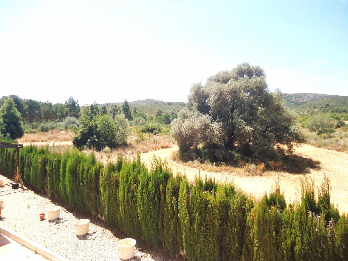 Los Olivos Residencial Lek Peñíscola Kültér fotó